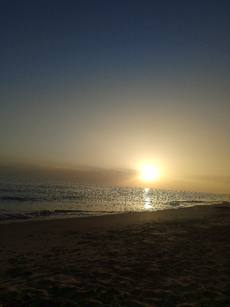 Foto de perfil de VIDA