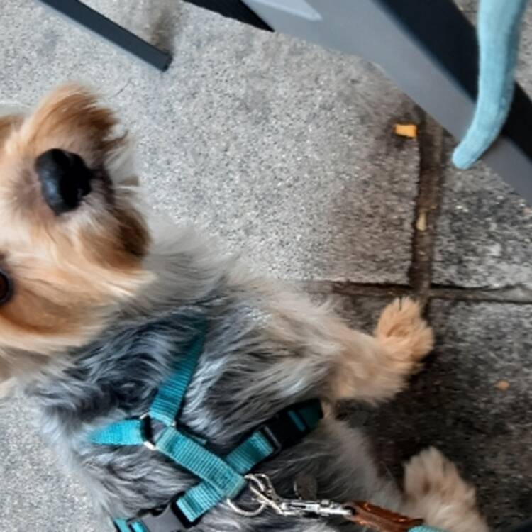 Foto de perfil