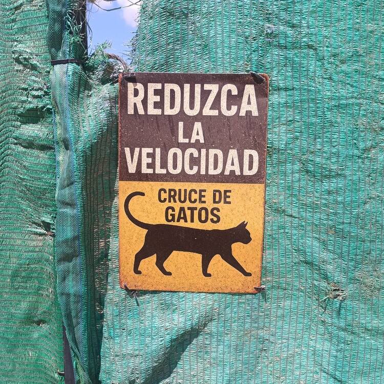 Foto de perfil de Raul