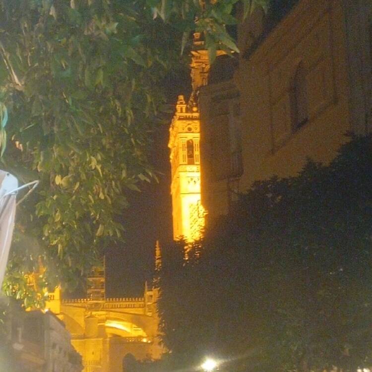 Foto de perfil de Sevilla van