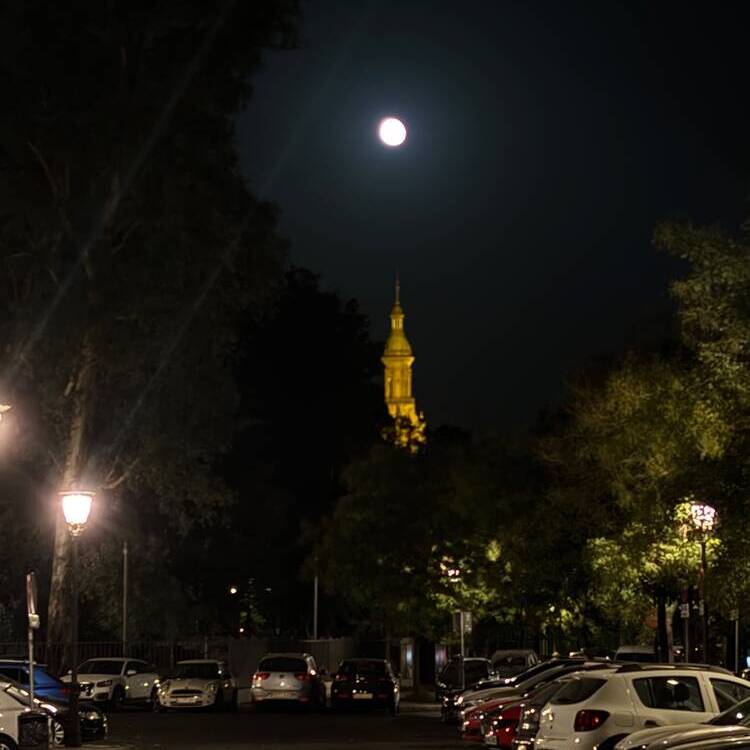Foto de perfil de María
