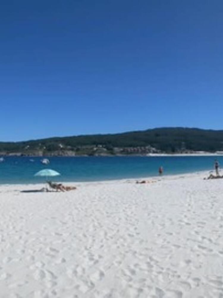 Foto de perfil de Yolanda