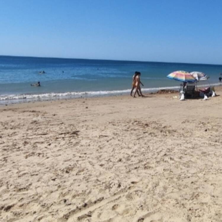 Foto de perfil de Jose Carlos