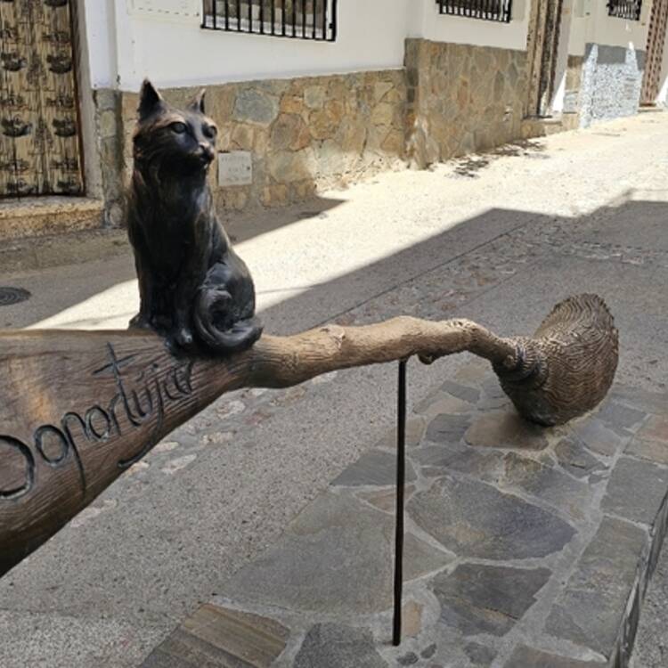 Foto de perfil de Ina