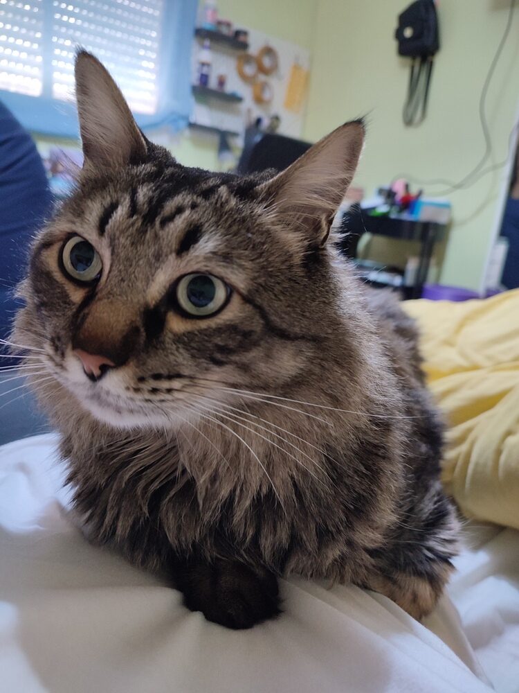 Foto de perfil de Alba