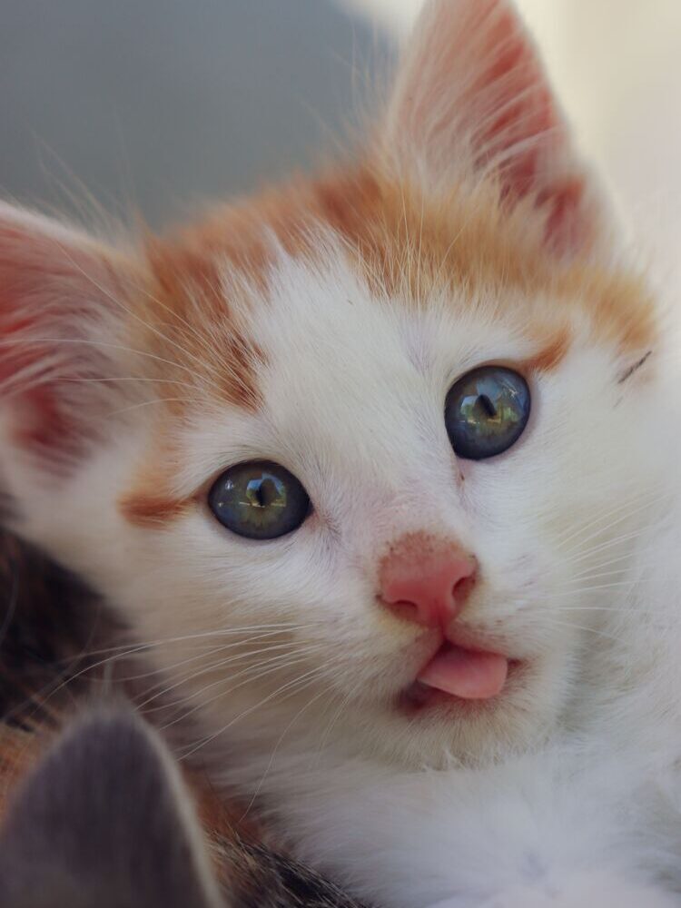 Foto de perfil de Rocío